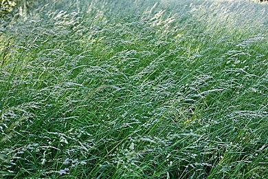 AMD YES！《咚奇刚：蕉力全开》只使用了FSR技术